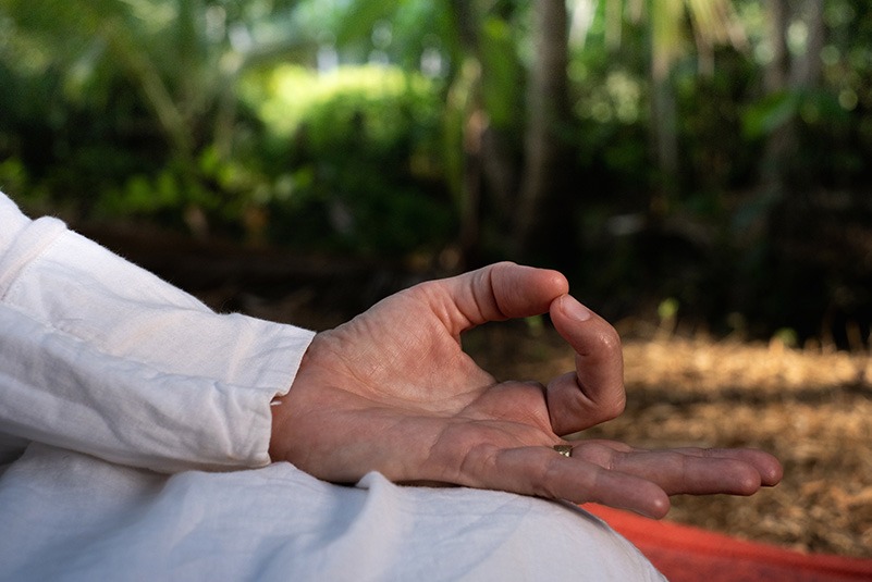 Hand in chin mudra