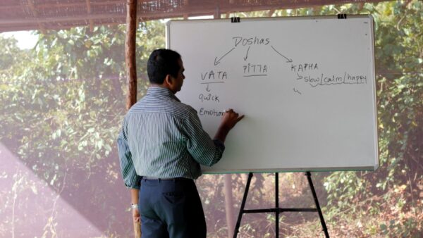 Ayurveda in 300hr Yoga Teacher Training Goa India